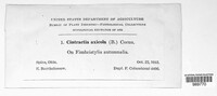 Image Associated With the Occurence